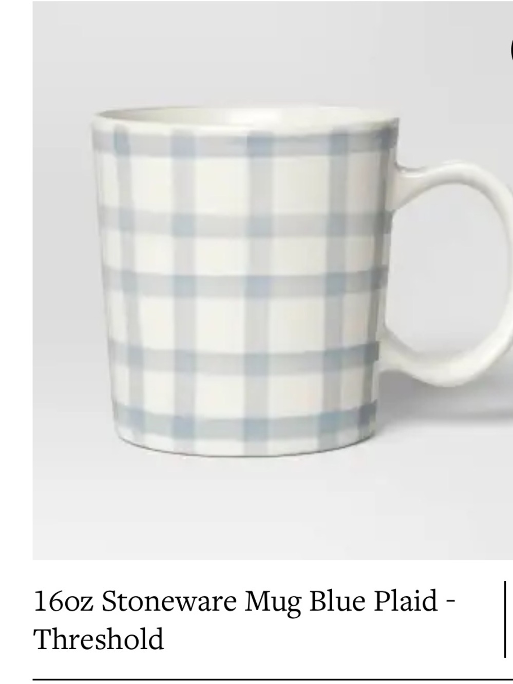 IN SEARCH OF Threshold Blue Plaid Stoneware Mug